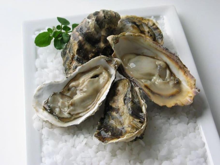 Maison De La Mer サン・ジェルマン・シュル・エ エクステリア 写真